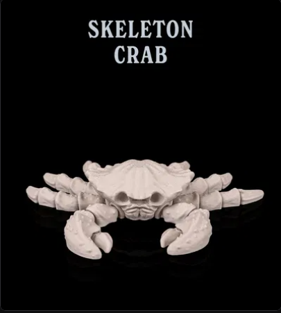 Crab Skeleton