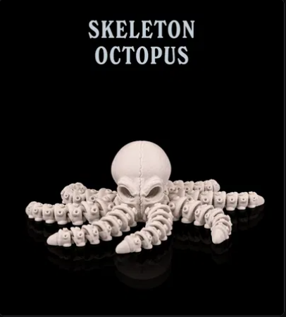 Octopus Skeleton