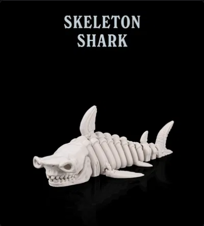Shark Skeleton